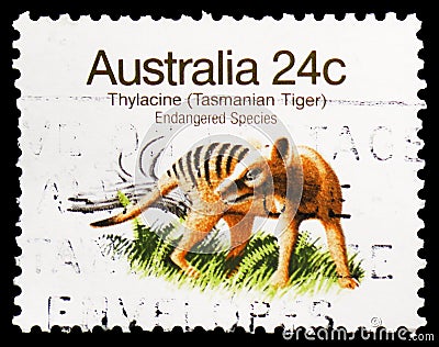 Thylacine Thylacinus cyanocephalus, Endangered Species 1981-1984 serie, circa 1981 Editorial Stock Photo
