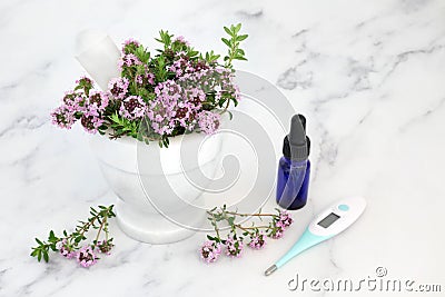 Thyme Herb for Cold and Flu Remedy Stock Photo