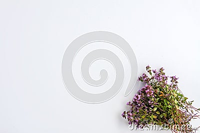 Summer medical herbs bunch. Thyme plant Stock Photo