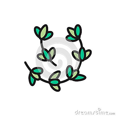 Thyme, rosemary flat color line icon. Isolated on white background Vector Illustration