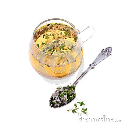 Thyme tea with fresh bunches thyme Stock Photo