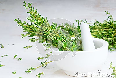 Thyme twigs in the pounder on white wooden table Stock Photo