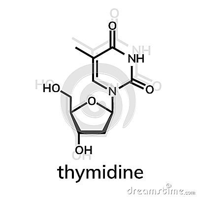 Thymidine chemical formula Vector Illustration