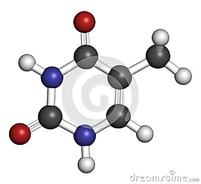 Thymine (T) nucleobase molecule. present in DNA. Atoms are represented as spheres with conventional color coding: hydrogen (white Stock Photo