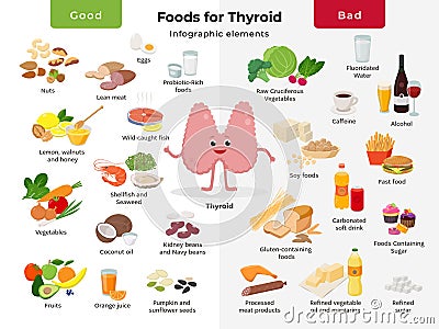 Thyroid cartoon character and foods for thyroid health, good and bad meals icon set in flat design isolated on white Vector Illustration