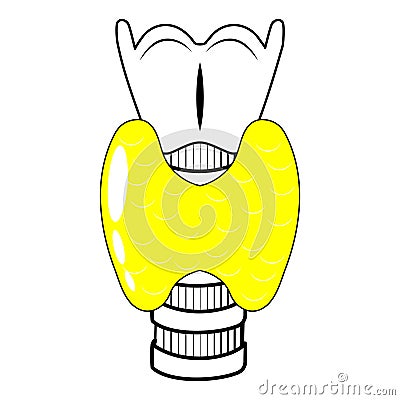 Thyroid gland black line icon Vector Illustration