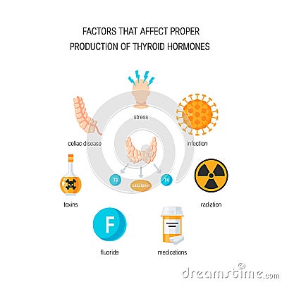 Thyroid hormones vector Vector Illustration