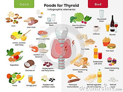 Thyroid nutrition infographic elements. foods for thyroid health, good and bad meals icon set in flat design isolated on Vector Illustration