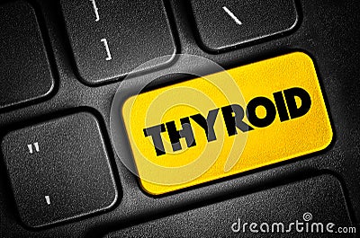 Thyroid text button on keyboard, concept background Stock Photo