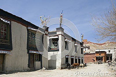 Tibet Stock Photo