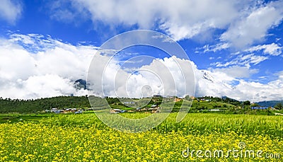 Tibet scenery Stock Photo