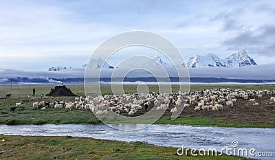 Tibet scenery Stock Photo