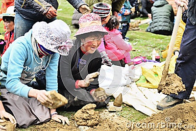 Tibetan Farmer Editorial Stock Photo