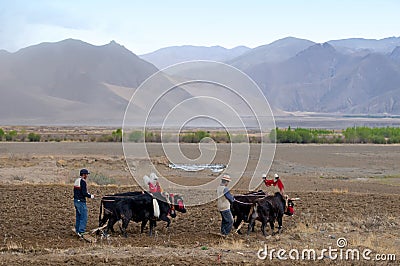 Tibetan farmers Editorial Stock Photo