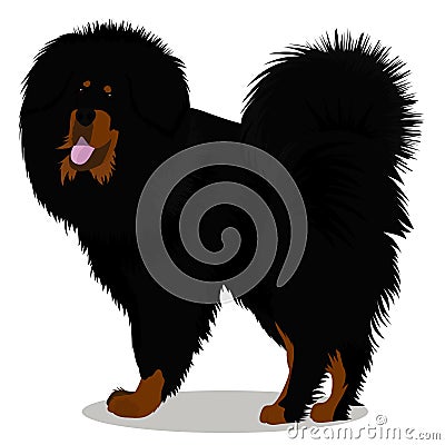 Tibetan mastiff dog Vector Illustration