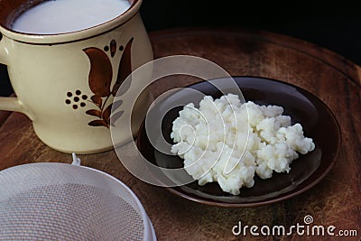 Tibetan milk kefir kephir natural organic grains sponge heap with a cup of fresh fermented drink Stock Photo