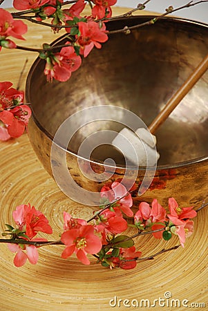 Tibetan singing bowl mallet Stock Photo