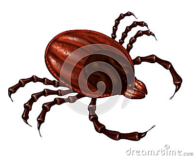 Tick Insect Cartoon Illustration