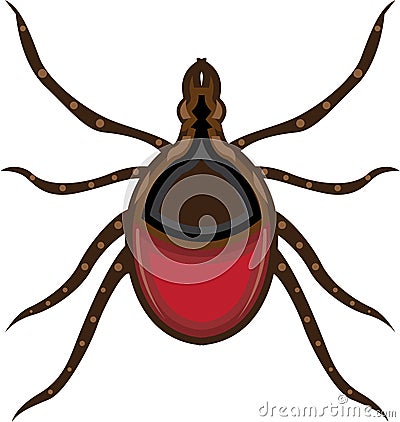 Tick insect Vector Illustration