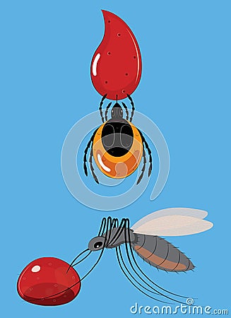 The tick and mosquito to suck blood Stock Photo