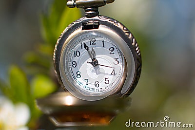 A ticking clock against a background of flowering trees. Stock Photo