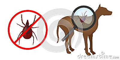 Ticks On Dogs. Canine tick-borne infections. Tick Bites. Vector infographic Vector Illustration