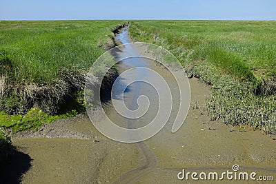 Tidal creek Stock Photo