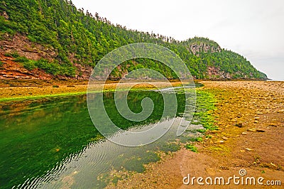 Tidal River at Low Tide on a Cloudy Day Stock Photo