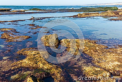 Tide Pools Stock Photo