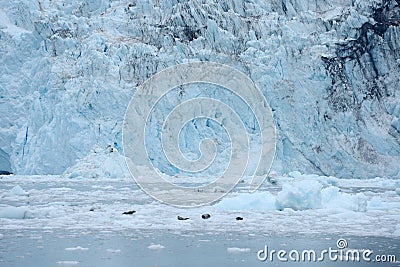 tidewater glacier Stock Photo
