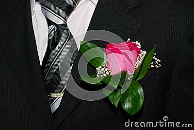 Tie, flower, suit Stock Photo