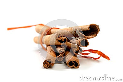 Tied Bunch of cinnamon Sticks Stock Photo