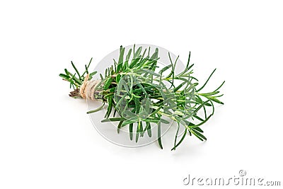 Tied bunch of fresh rosemary, isolated on white Stock Photo