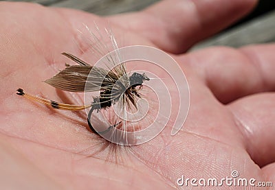 Tied flies for fly fishing bait Stock Photo