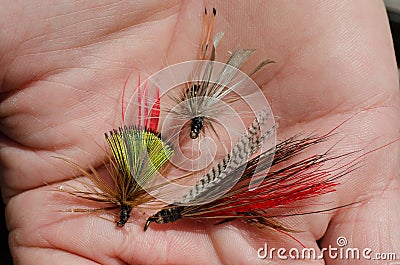 Tied flies for fly fishing bait Stock Photo