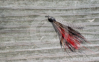 Tied flies for fly fishing bait Stock Photo