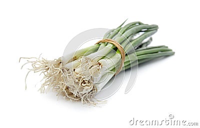 Tied fresh green onion on white Stock Photo