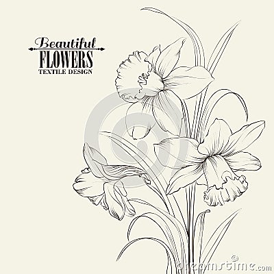 Tied narcissus flowers isolated on white Vector Illustration