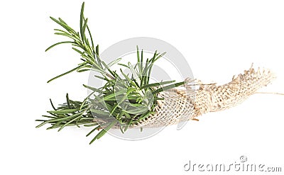 Tied rosemary on white background Stock Photo