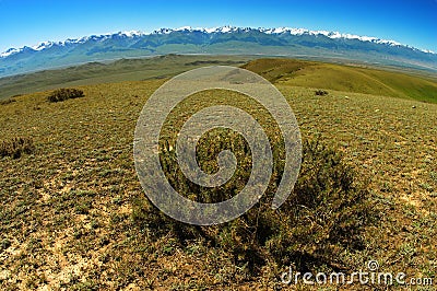 Tien-Shan Landscape Stock Photo