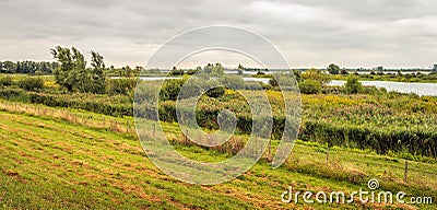 Tiendgorzen nature reserve on the South Holland island of Hoeksche Waard Stock Photo