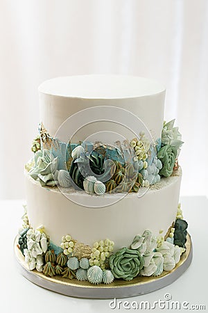 2 tier wedding cake with butter cream floral accents Stock Photo