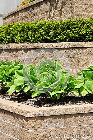 Tiered Retaining Wall Stock Photo