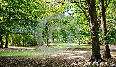 Tiergarten city park in Berlin, Germany. View of grass field and trees Stock Photo