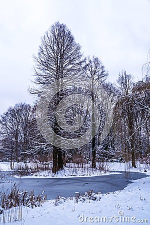 Tiergarten in winter Stock Photo