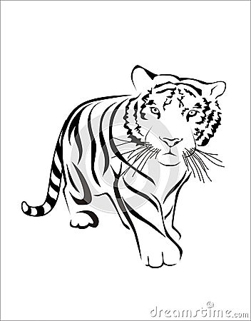 Tiger Vector Illustration