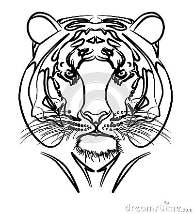 Tiger Vector Illustration