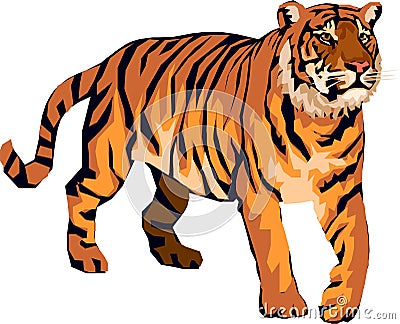 Tiger angry Stock Photo