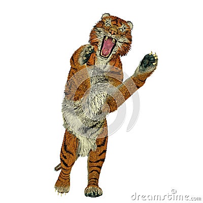 Tiger attacking Stock Photo