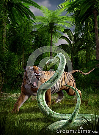 Tiger attacks aggressively a Python snake in the jungle Stock Photo